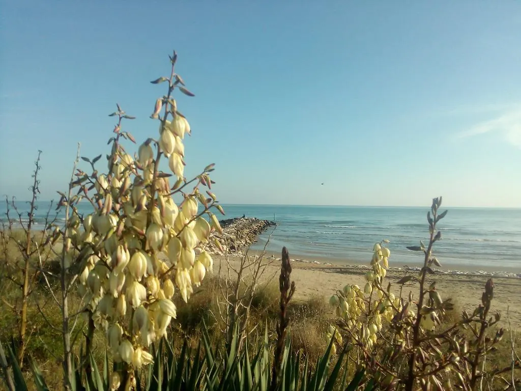 Appartamento Trifoglio Lido di Jesolo